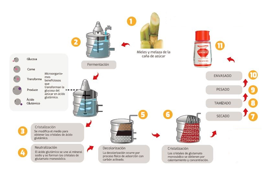 Proceso de producción Ajinomoto